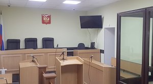 Петербуржец осужден за кражу почти 900 тыс руб у крымского пенсионера