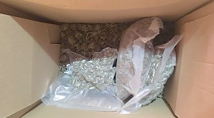 Полицейские изъяли два килограмма конопли у жителя Сакского района