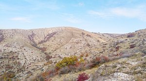 Сильный ветер ожидается в Крыму в ближайшие двое суток