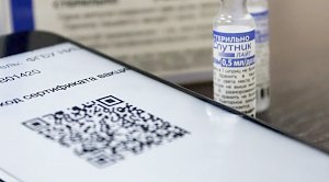 Парламентарии Госдумы предложили выдавать QR-коды ещё двум категориям граждан