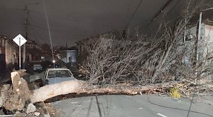 Шесть человек в Крыму получили травмы из-за непогоды