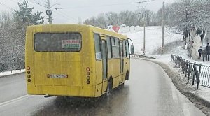 Власти Симферопольского района накажут водителя, высадившего на мороз ребенка