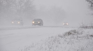 Водитель, высадивший ребенка-льготника из автобуса под Симферополем, уволен