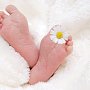 Крымчане называли новорожденных в прошлом году именами Радость и Канакада