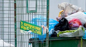 Контроль за переработчиками мусора предложили усилить в России
