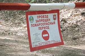 Внимание: с 20 мая в Крыму введён особый противопожарный режим