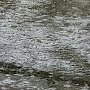 МЧС предупредило о сильном ливне с градом и грозами в Симферополе