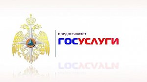 Государственные услуги МЧС России можно получить в электронном виде