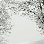 Мокрый снег и ураганный ветер ожидаются в Крыму