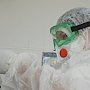 Случай свиного гриппа зарегистрировали в Крыму