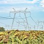 «Энергоадвокат» позволяет существенно сократить сроки подключения объектов инвесторов к электросетям – Кивико