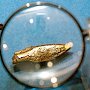 Вопрос о владельце «скифского золота» решится в Нидерландах в сентябре 2023 года