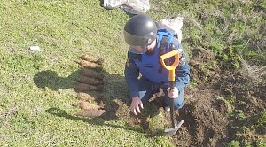 Пиротехники обезвредили мины времен ВОВ на полигоне в Армянске