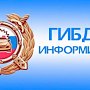 Госавтоинспекция Севастополя объявляет старт информационно-профилактического мероприятия «Внимание – дети!»