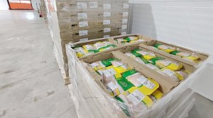 IC Logistics начинает регулярные поставки куриного мяса в Крым