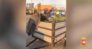 Автоинспекторы в Крыму задержали водителя, который вез в прицепе 21 кг конопли