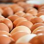 Производители яиц в Крыму получили дело от ФАС за увеличение цен