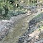 Расчистку реки Славянки в Симферополе закончили досрочно