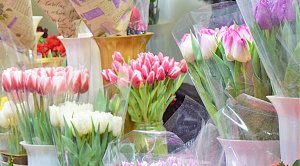 Эксперты рассказали о ценах на цветы к 8 марта
