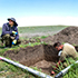 Учёные КФУ обнаружили ранее неизвестные поселения позднего бронзового века в Крымском Приазовье