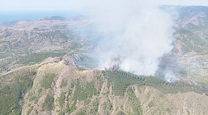 Пожар в горах под Судаком локализовали на площади 15 гектаров