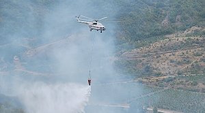 Пожар в Коктебеле повредил 40 гектаров Карадагского природного заповедника